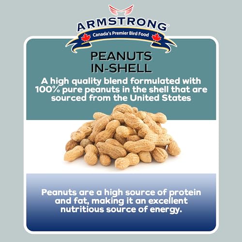 Peanuts-in-Shell, 10 Pounds J9716