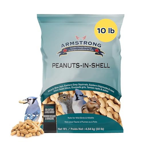 Peanuts-in-Shell, 10 Pounds J9716