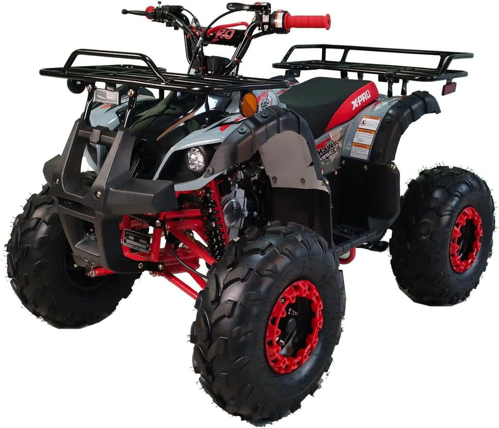 125cc Gas ATV Automatic Transmission with Reverse J924285