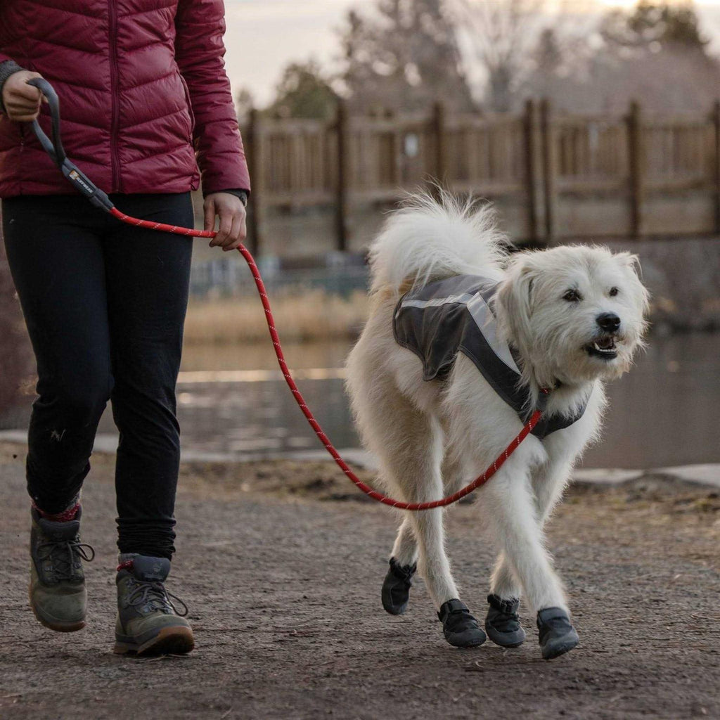 Cinch Leash D337