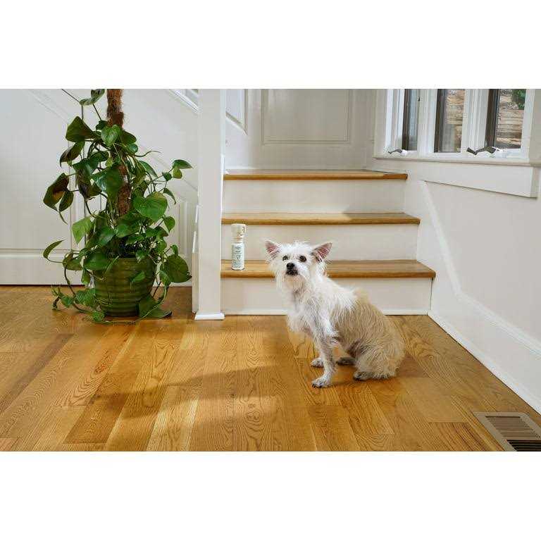 Pet Deterrent Spray D11879