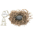Pet Rock R88795