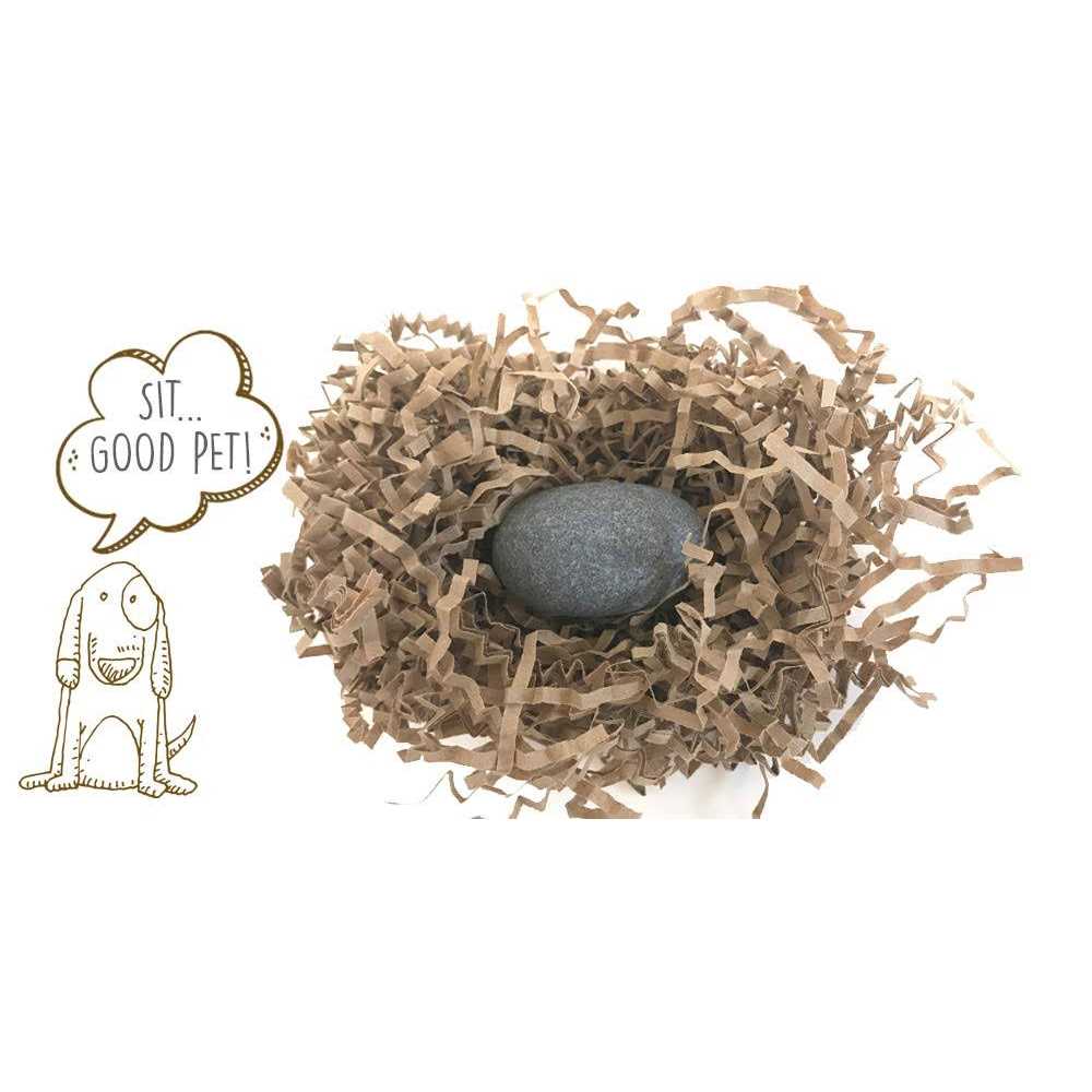 Pet Rock R88795