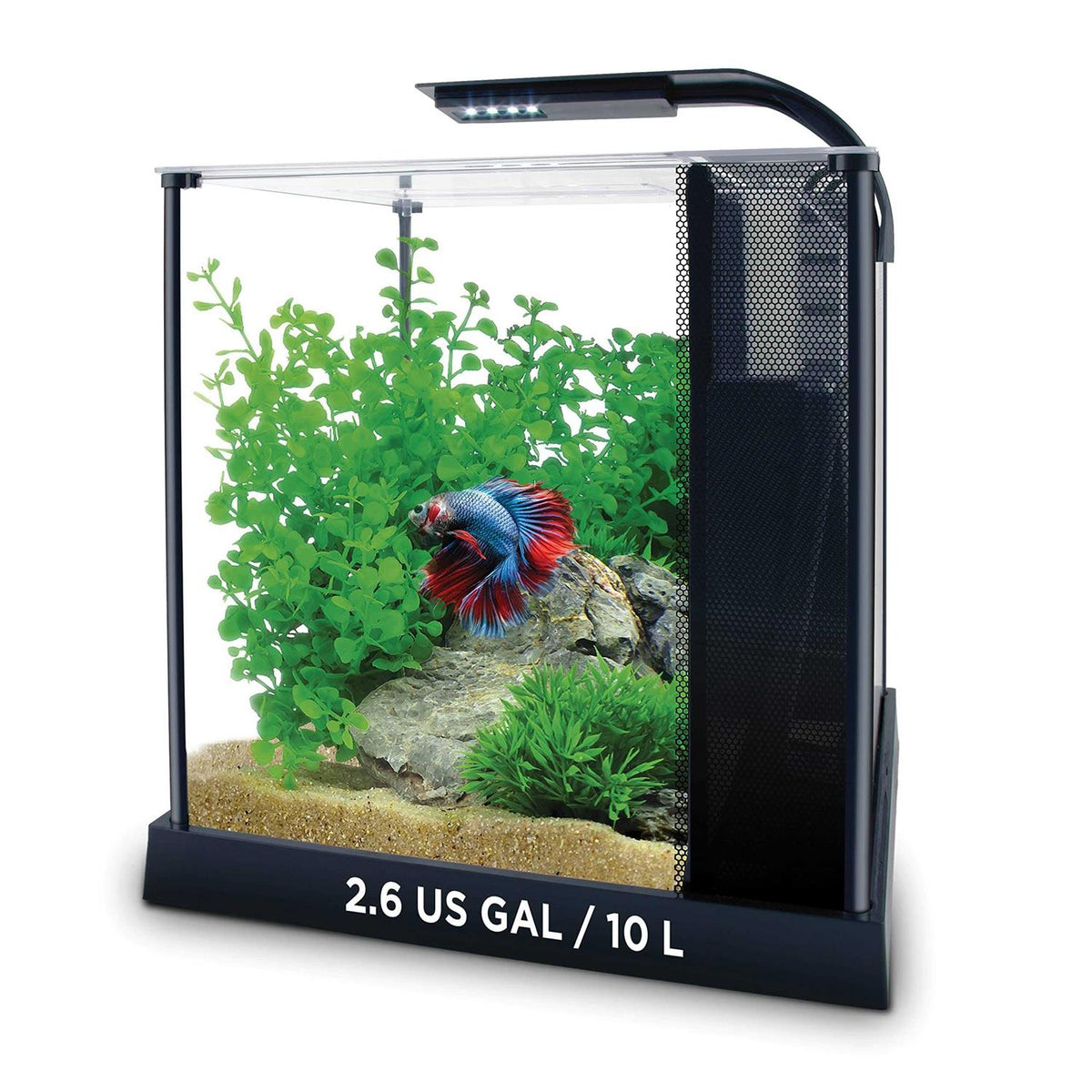 Betta Kit G208430