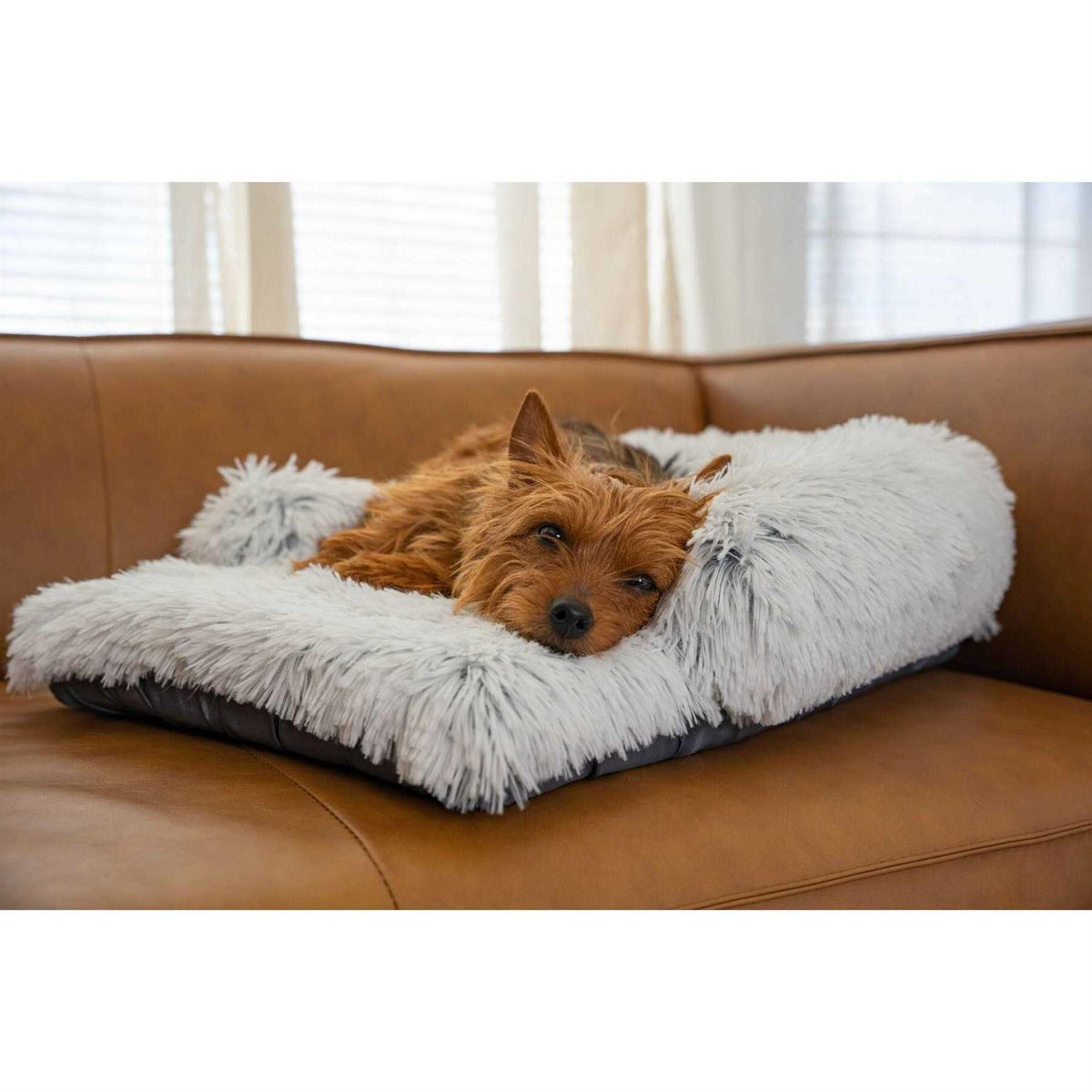 Dog Mat I377