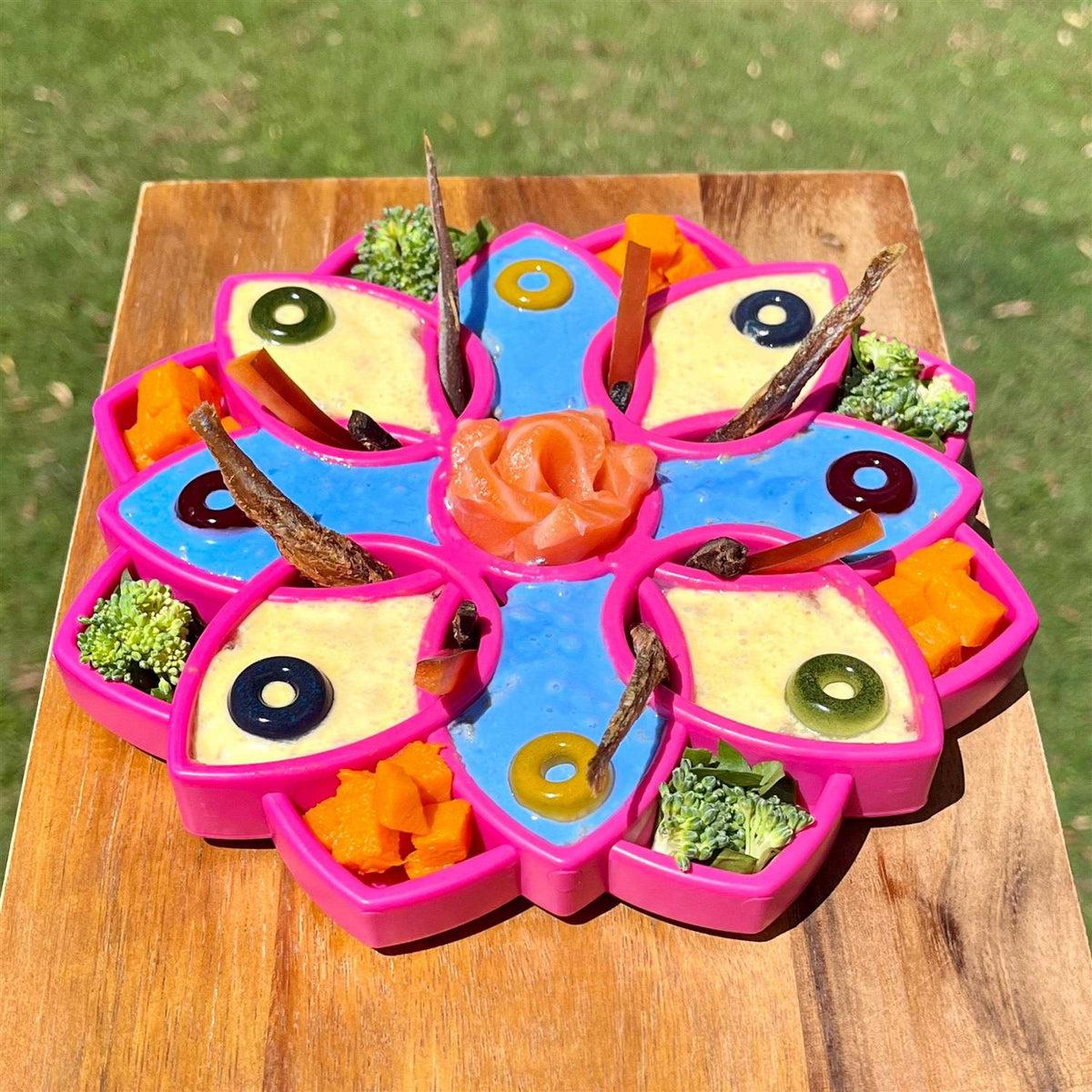 Mandala Design Enrichment Tray for Dogs R29774