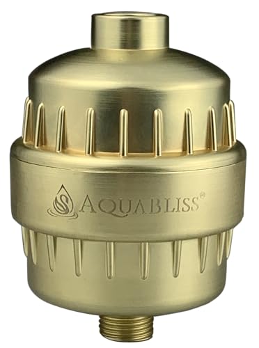 Chrome Shower Filter V5024