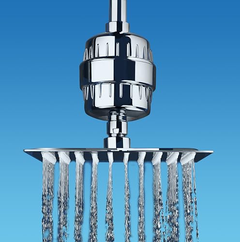 Chrome Shower Filter V5024