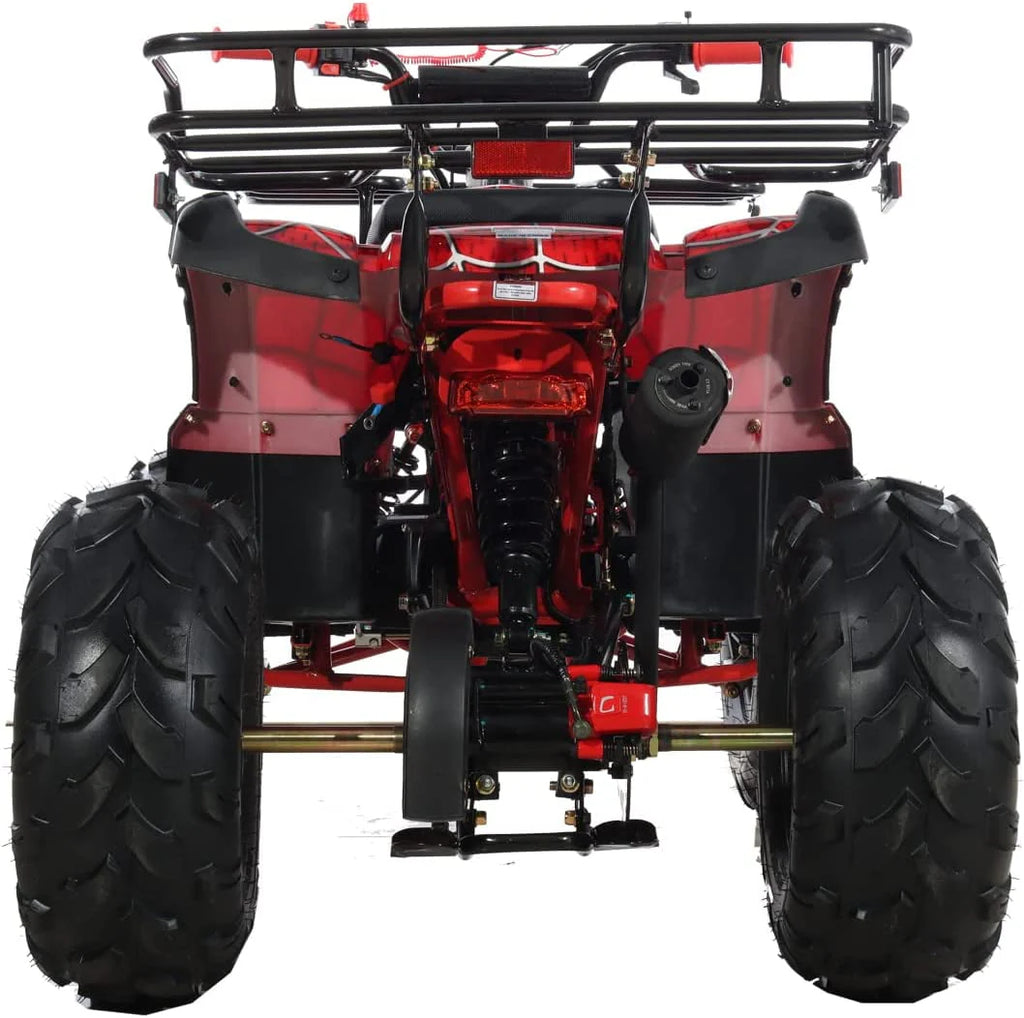 125cc Gas ATV Automatic Transmission with Reverse J924285