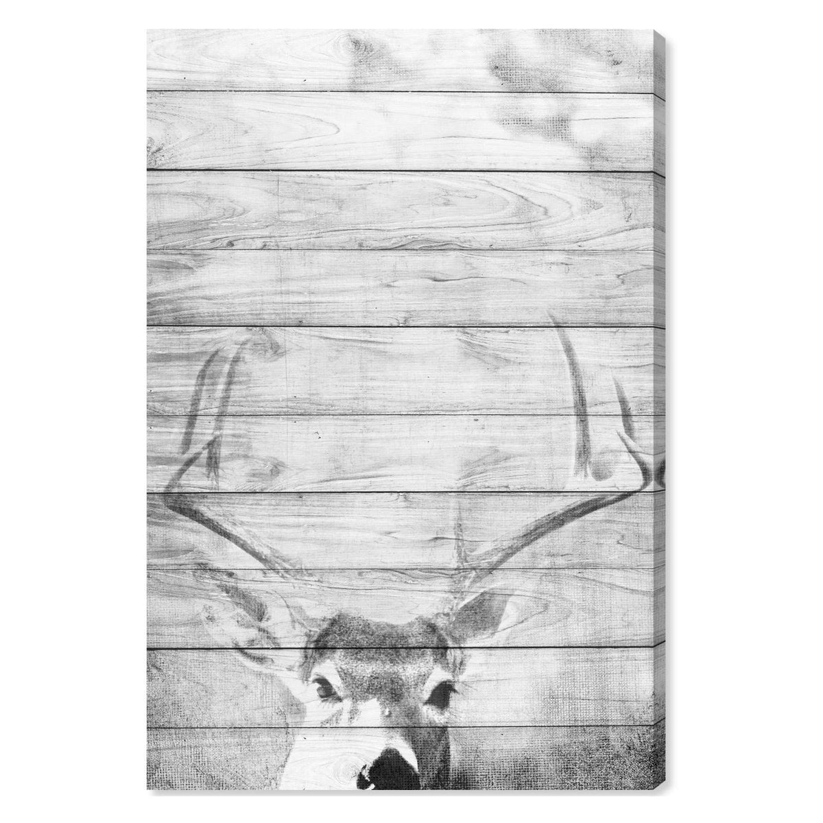 Gray Canvas Art 30W x 45H X5210