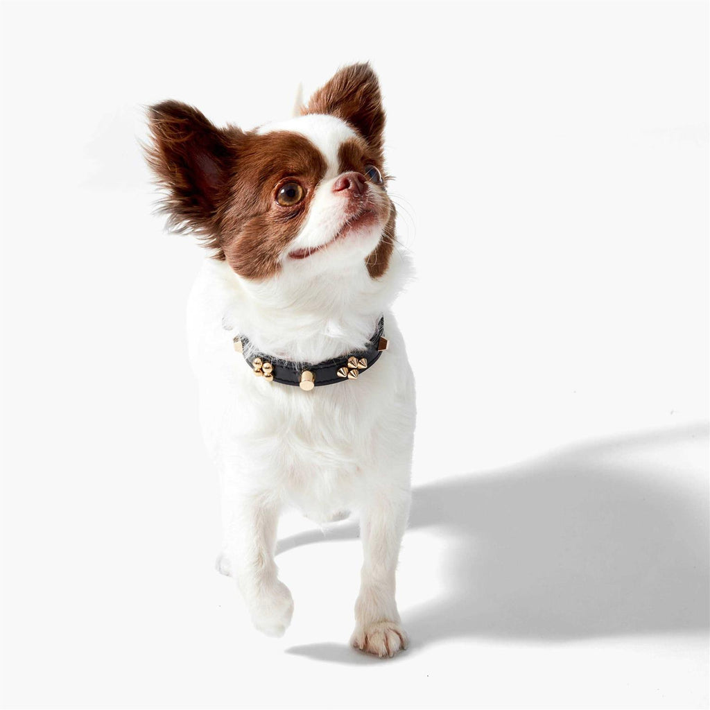 Collar F200