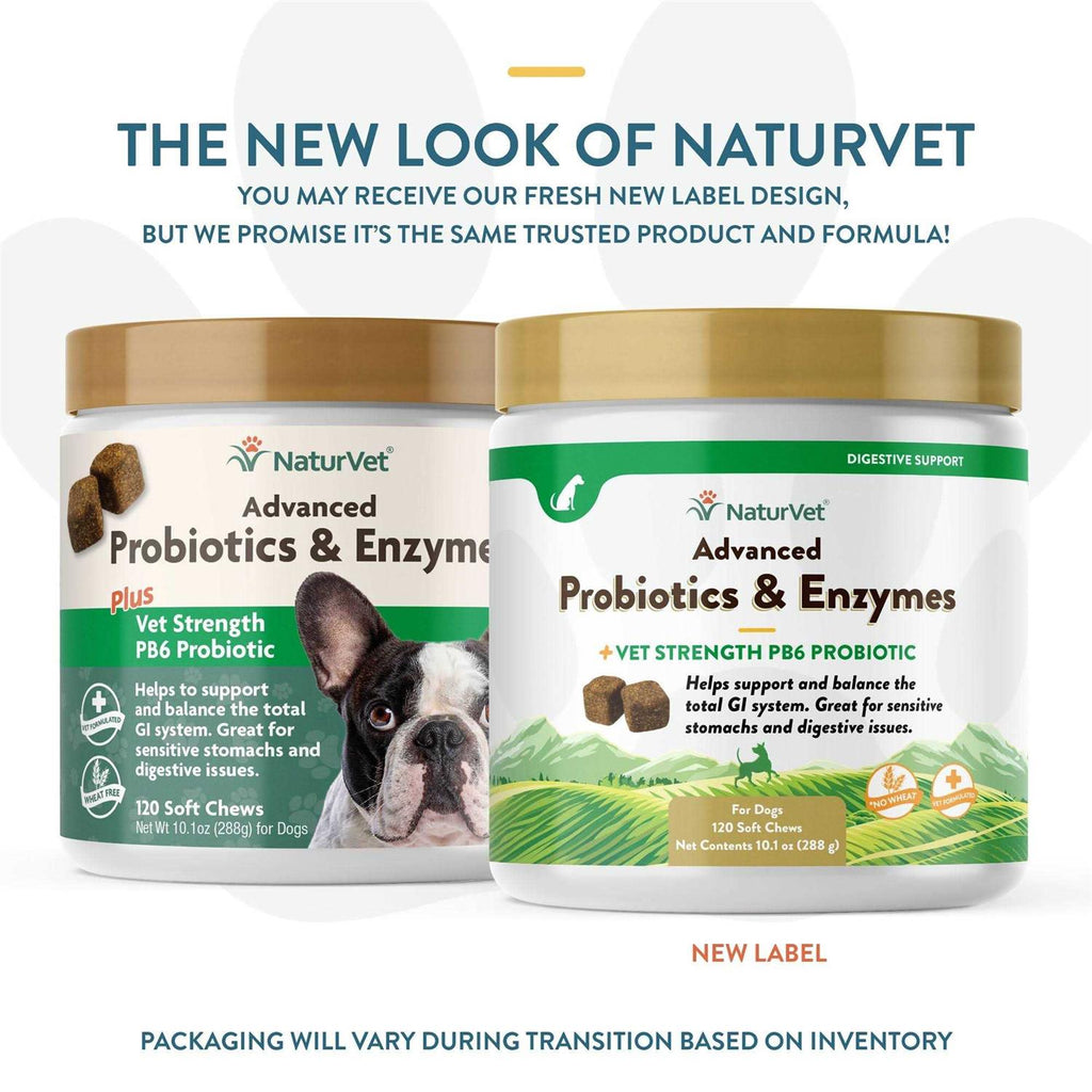 Probiotics & Enzymes Soft Chews E508
