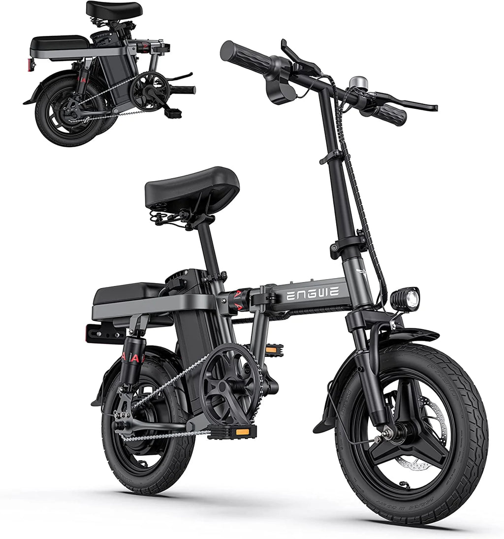 Folding Electric Bike 350W 48V 10AH Grey L181