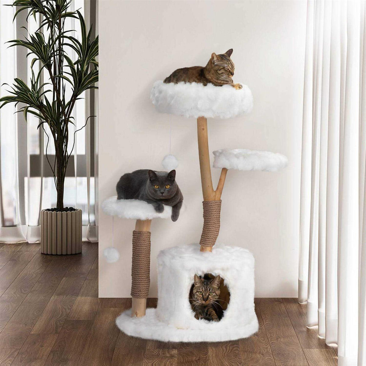 Cat Tree Cat Condo T3535