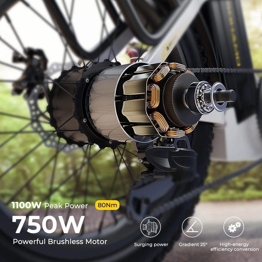 48V 15AH 750W Folding Electric Bike T2526