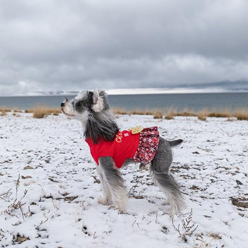 Christmas Dog Sweater Dress Turtleneck with Bowtie S4425