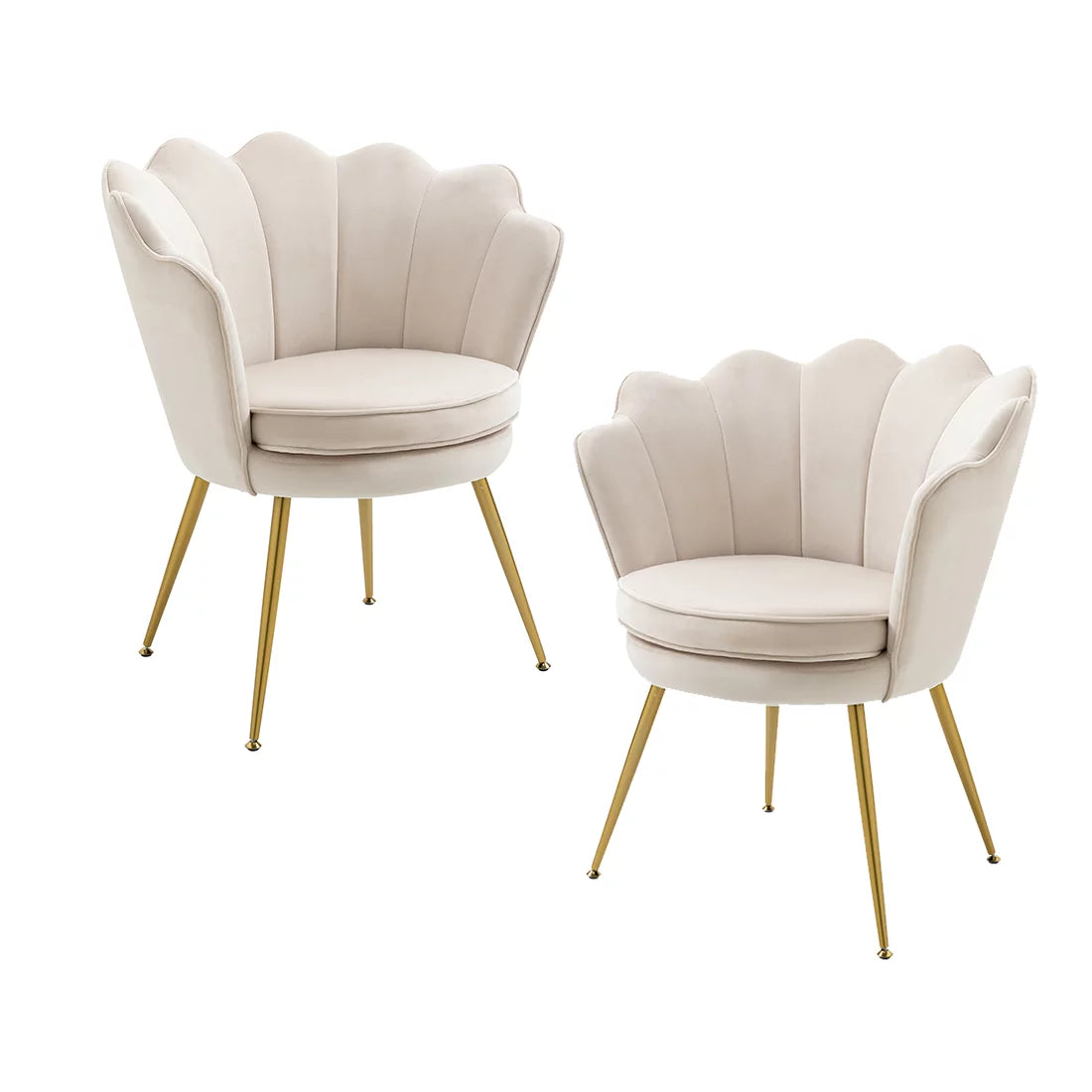White Velvet Upholstered Arm Chair with Golden Metal Legs, Set of 2 B41342