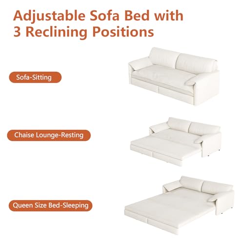Queen Size Velvet Convertible Sleeper Sofa Bed W118
