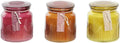 10X10X11 300 GR with Lid 3 Assorted M6992
