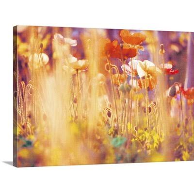 Photographic Print Canvas 26x22 H x 36x22 W x 1.5x22 D C93028