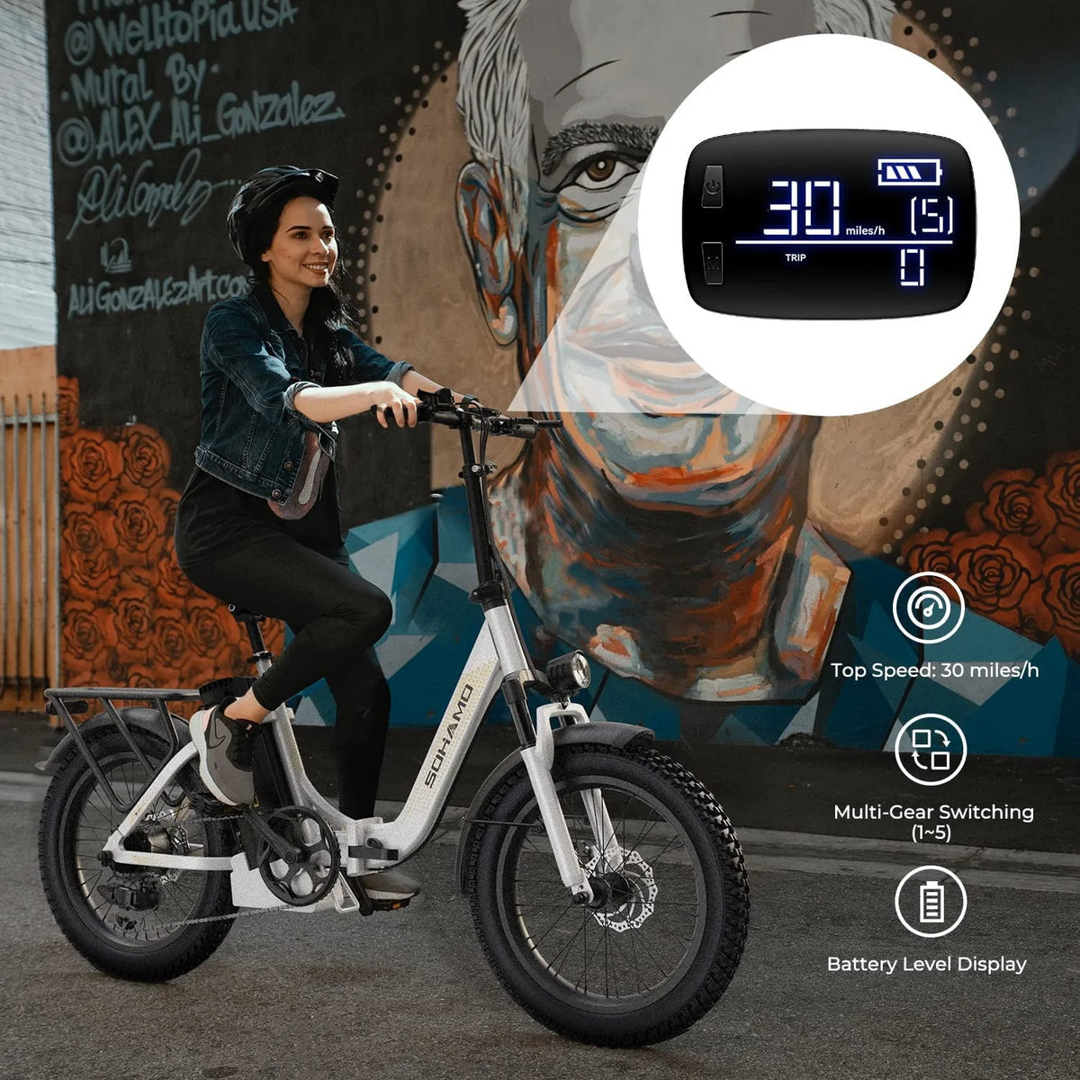 48V 15AH 750W Folding Electric Bike T2526