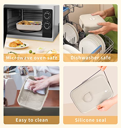 5 Compartment Insulated Bento Lunch Box C941