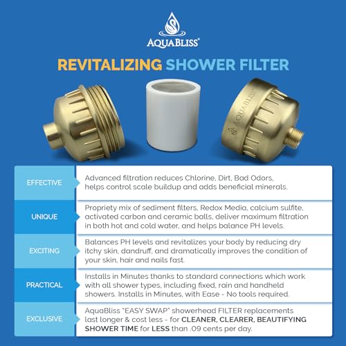 Chrome Shower Filter V5024