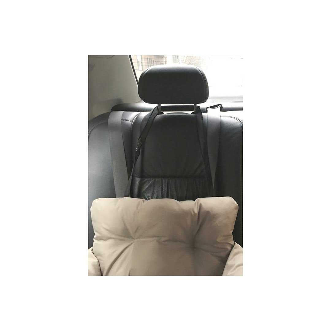 Travel Pet Bed Y778641