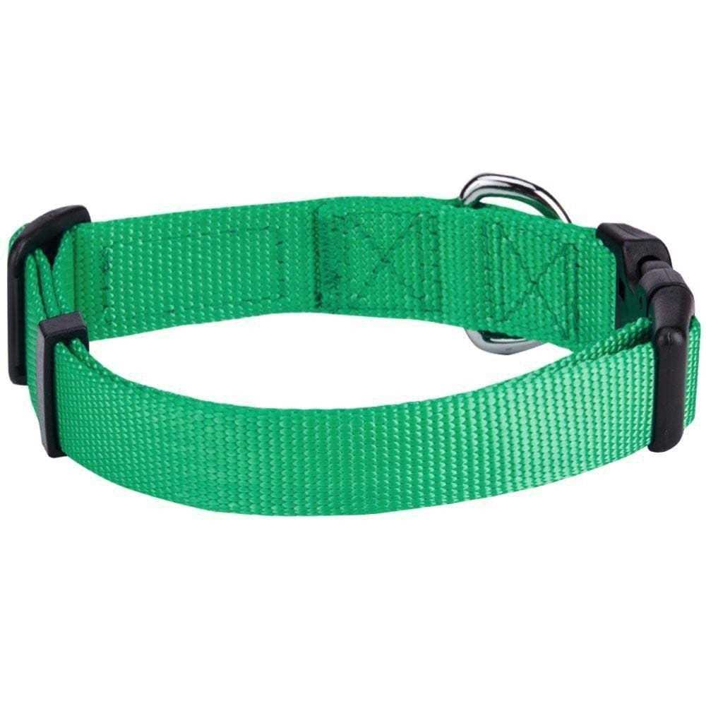 Classic Dog Collar V524