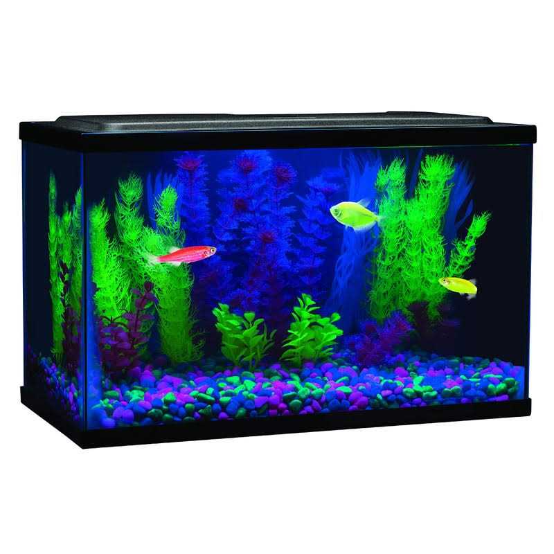 Blue LED Light C441785