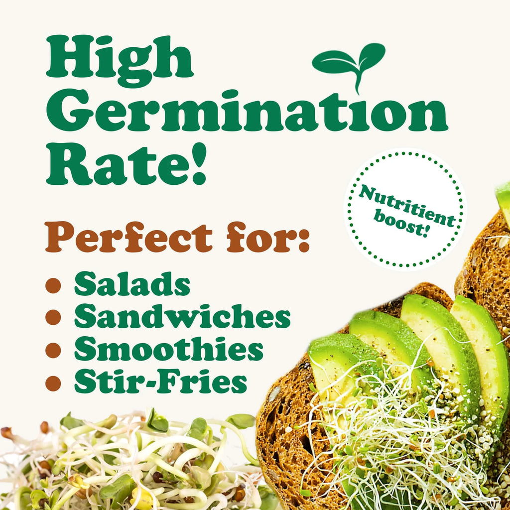 Sprouting Seeds 1 Pound V1278
