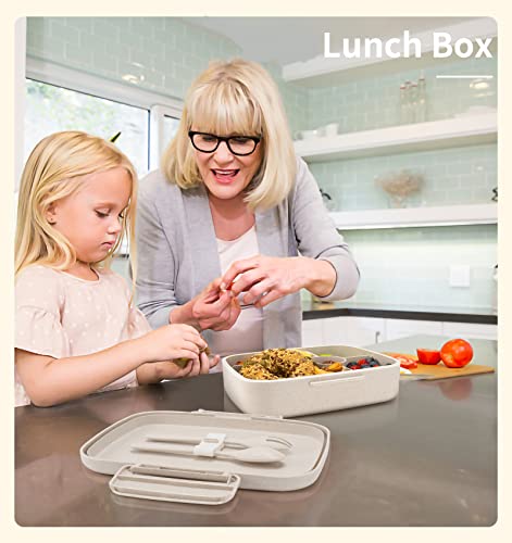 5 Compartment Insulated Bento Lunch Box C941