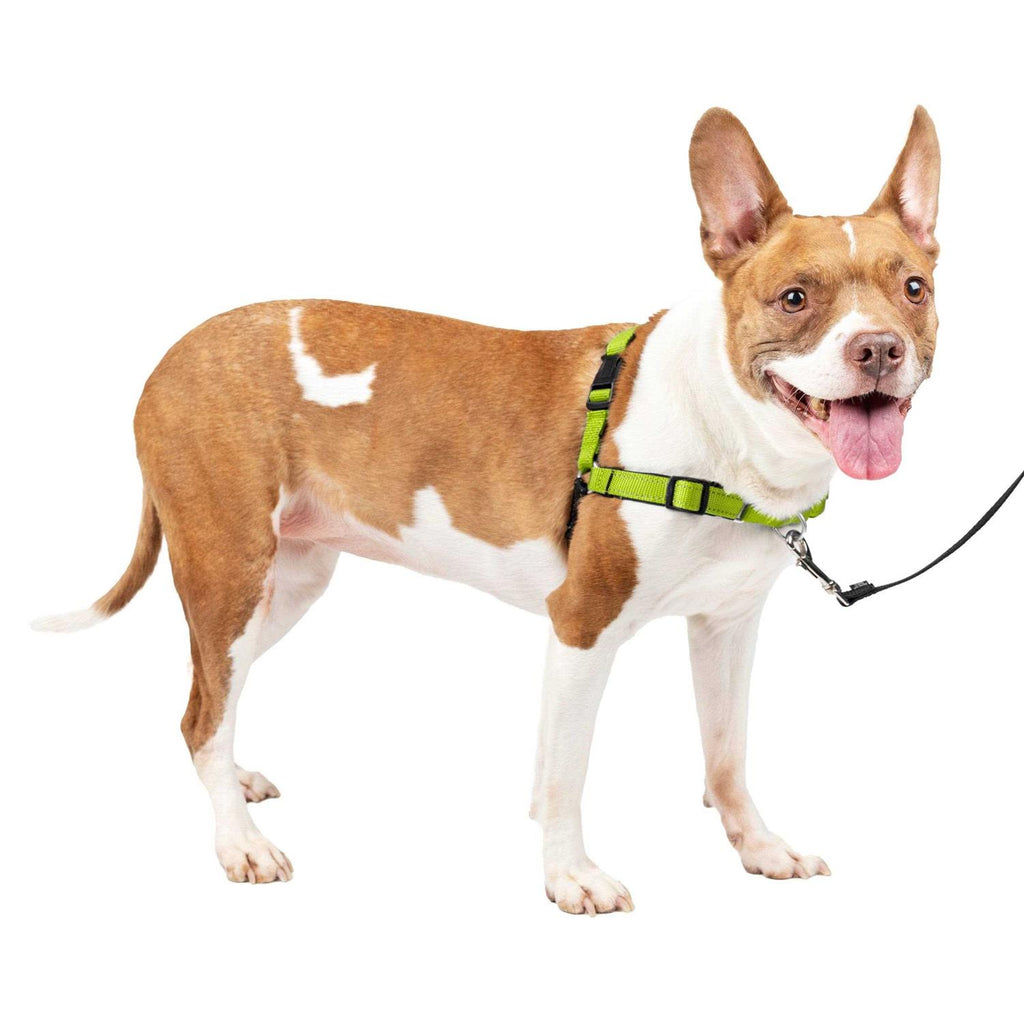 Easy Walk Harness E3382