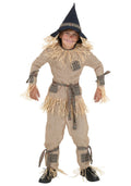 Silly Scarecrow Costume F648