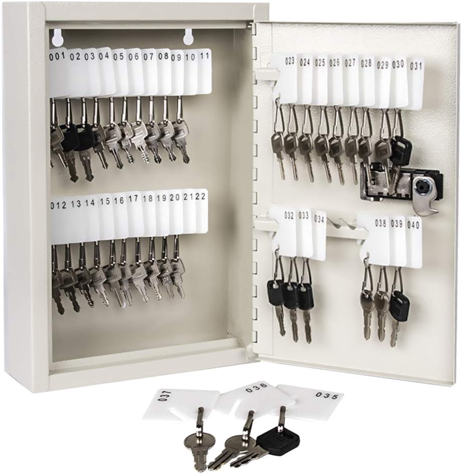 100 Keys Black Key Cabinet Organizer L515333