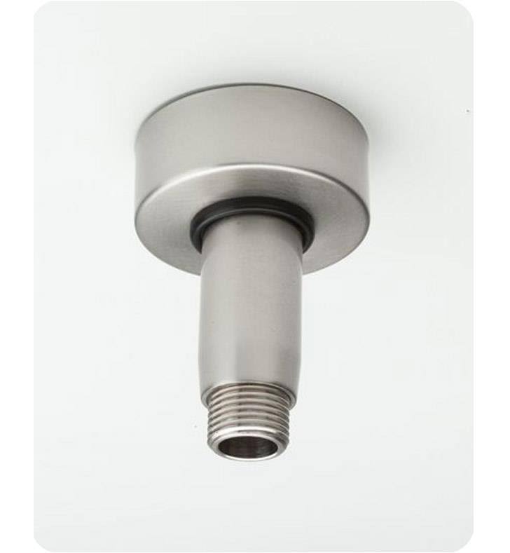 Vertical Brass Showerarm u0026 Escutcheon White Z14565