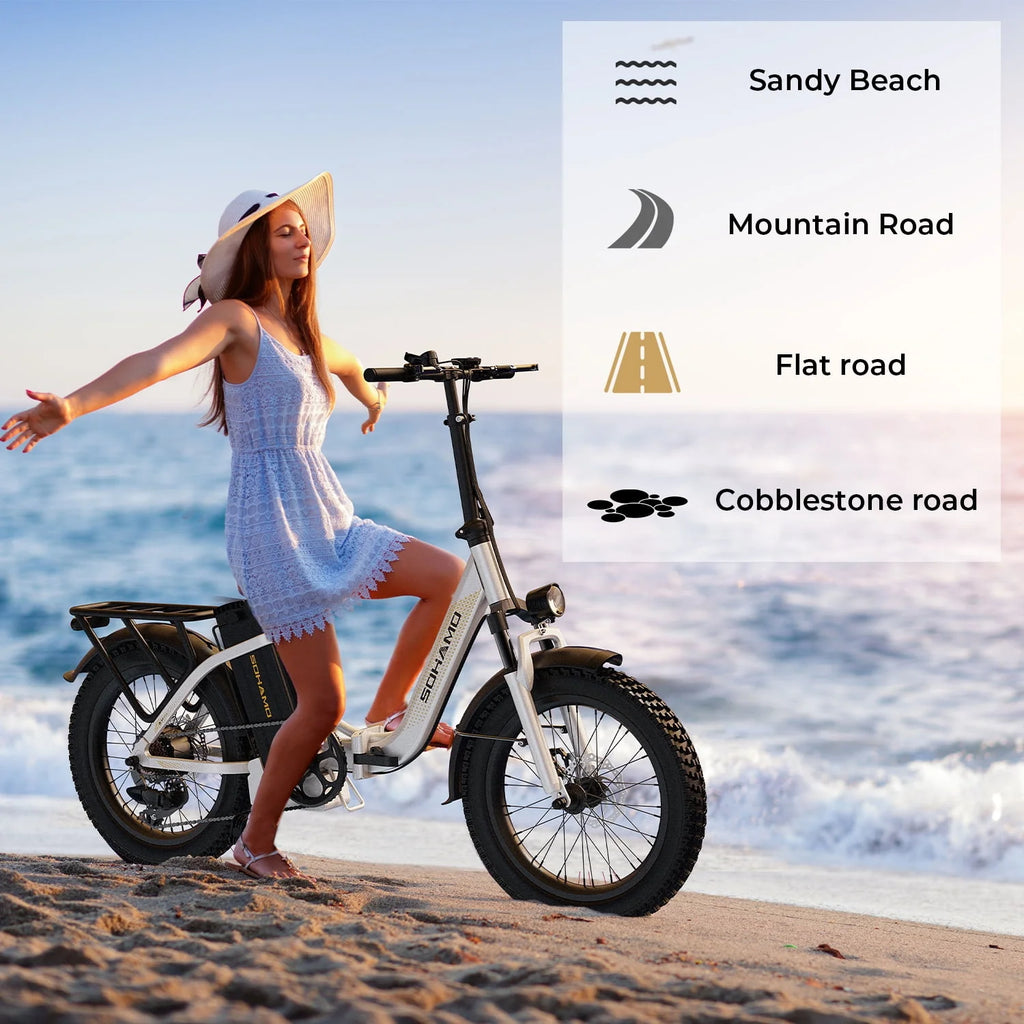 48V 15AH 750W Folding Electric Bike T2526