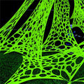 Green 48FT x 4FT Beef Netting Spider Web O64234