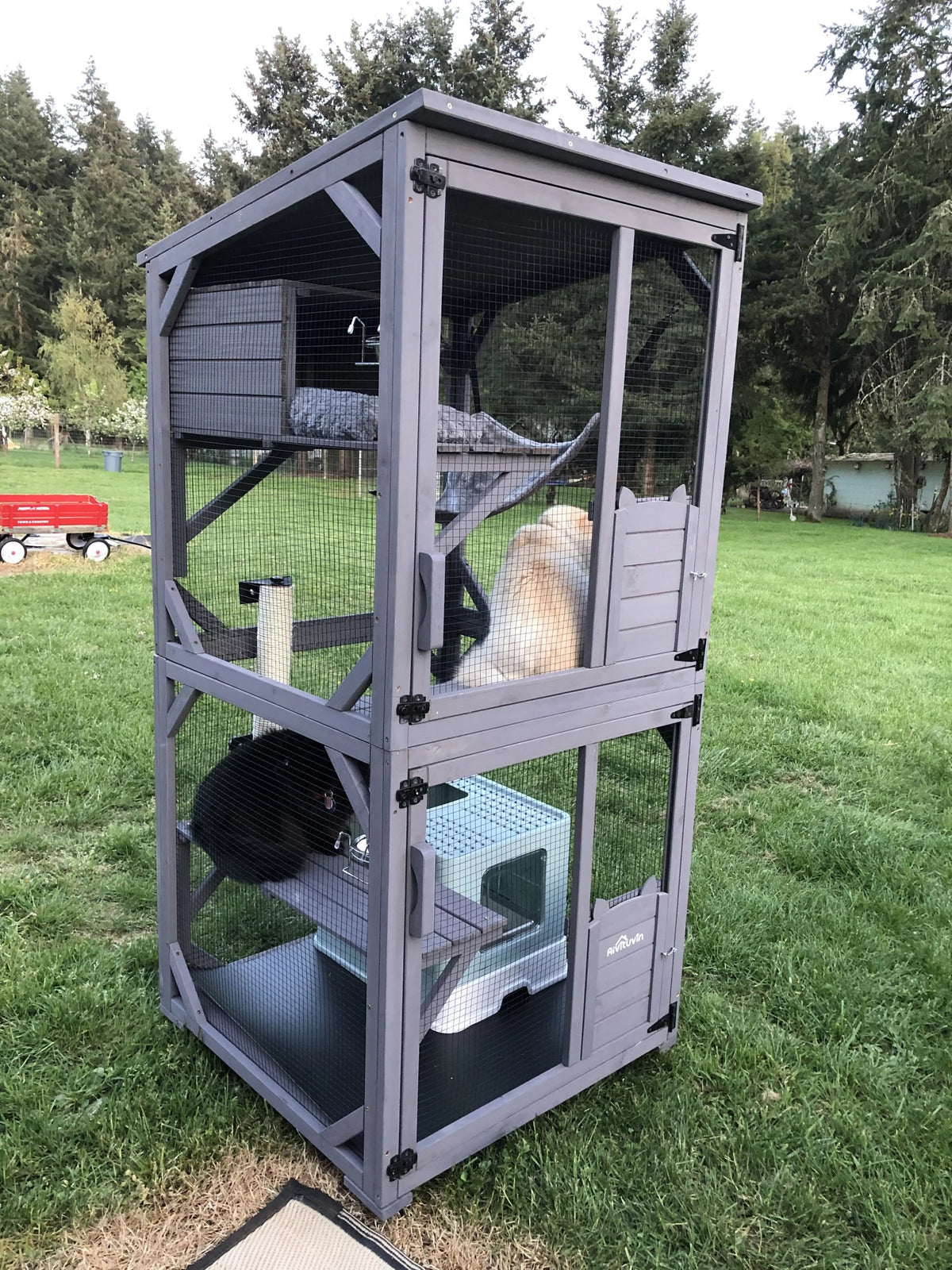 Wooden Catio Cat Enclosure with 3 Platforms S481386
