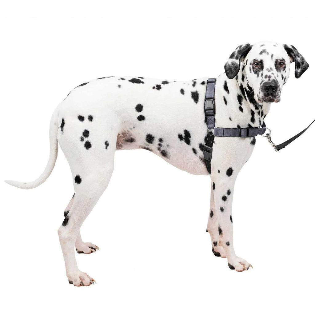 Easy Walk Harness E3382