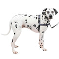 Easy Walk Harness E3382
