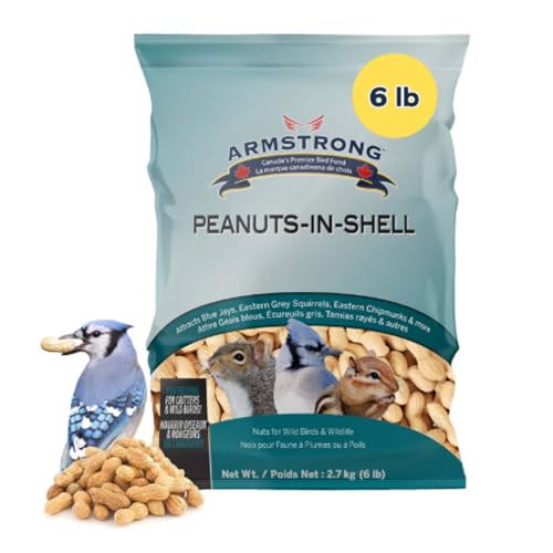 Peanuts-in-Shell, 10 Pounds J9716