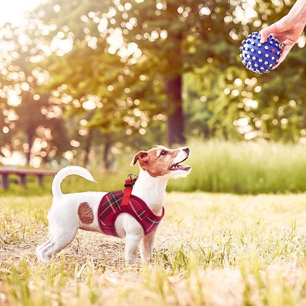 Soft Mesh Padded Dog Harness B45129