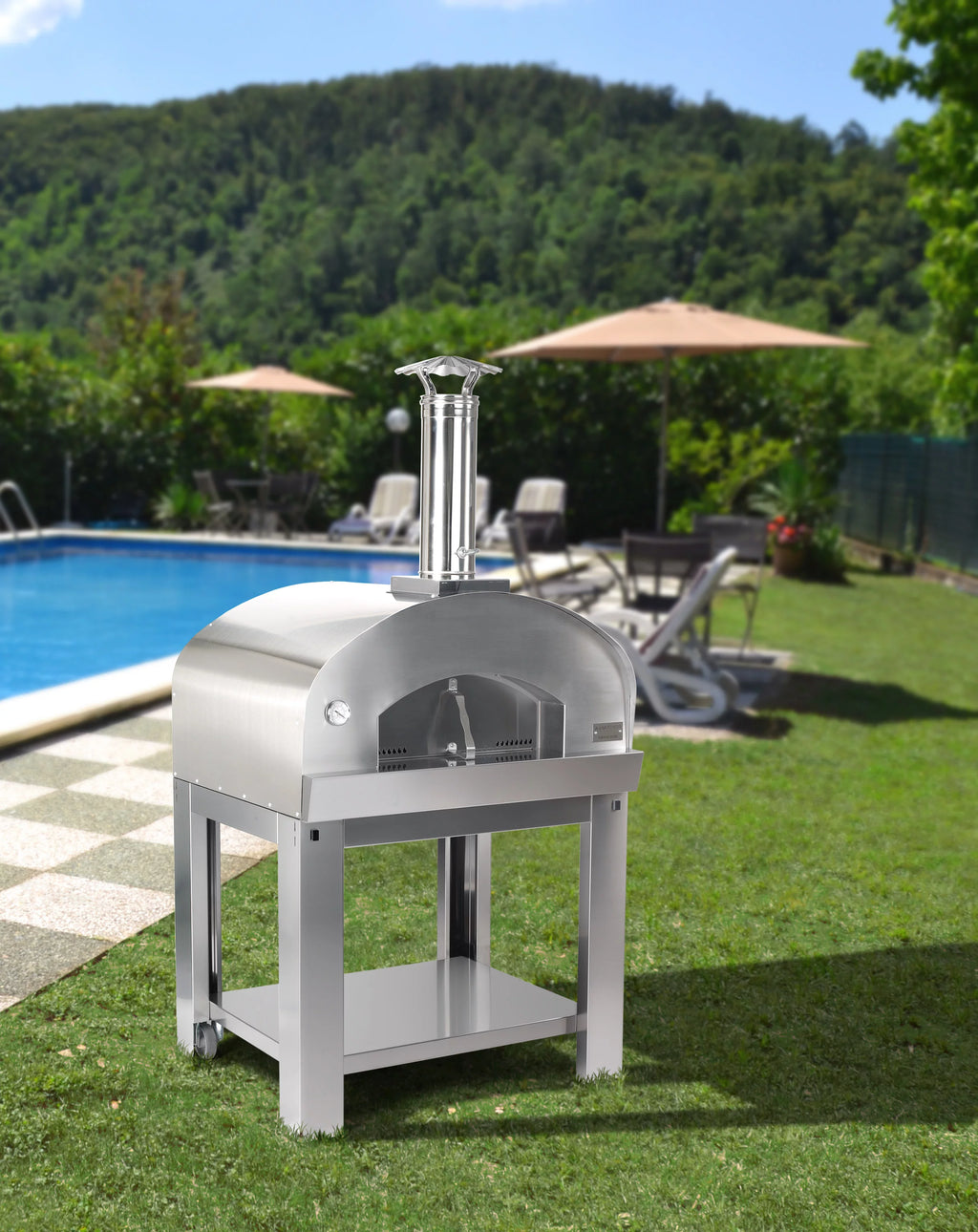 Wood Fired Outdoor Portable Pizza Oven Q169388