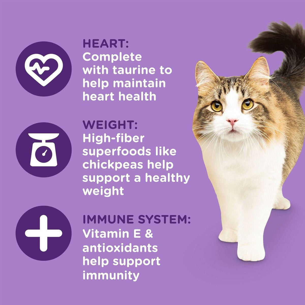 Dry Cat Food Y67070