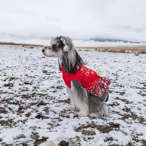 Christmas Dog Sweater Dress Turtleneck with Bowtie S4425