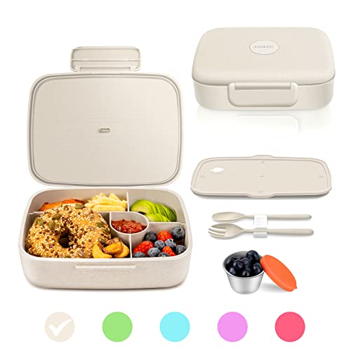 5 Compartment Insulated Bento Lunch Box C941