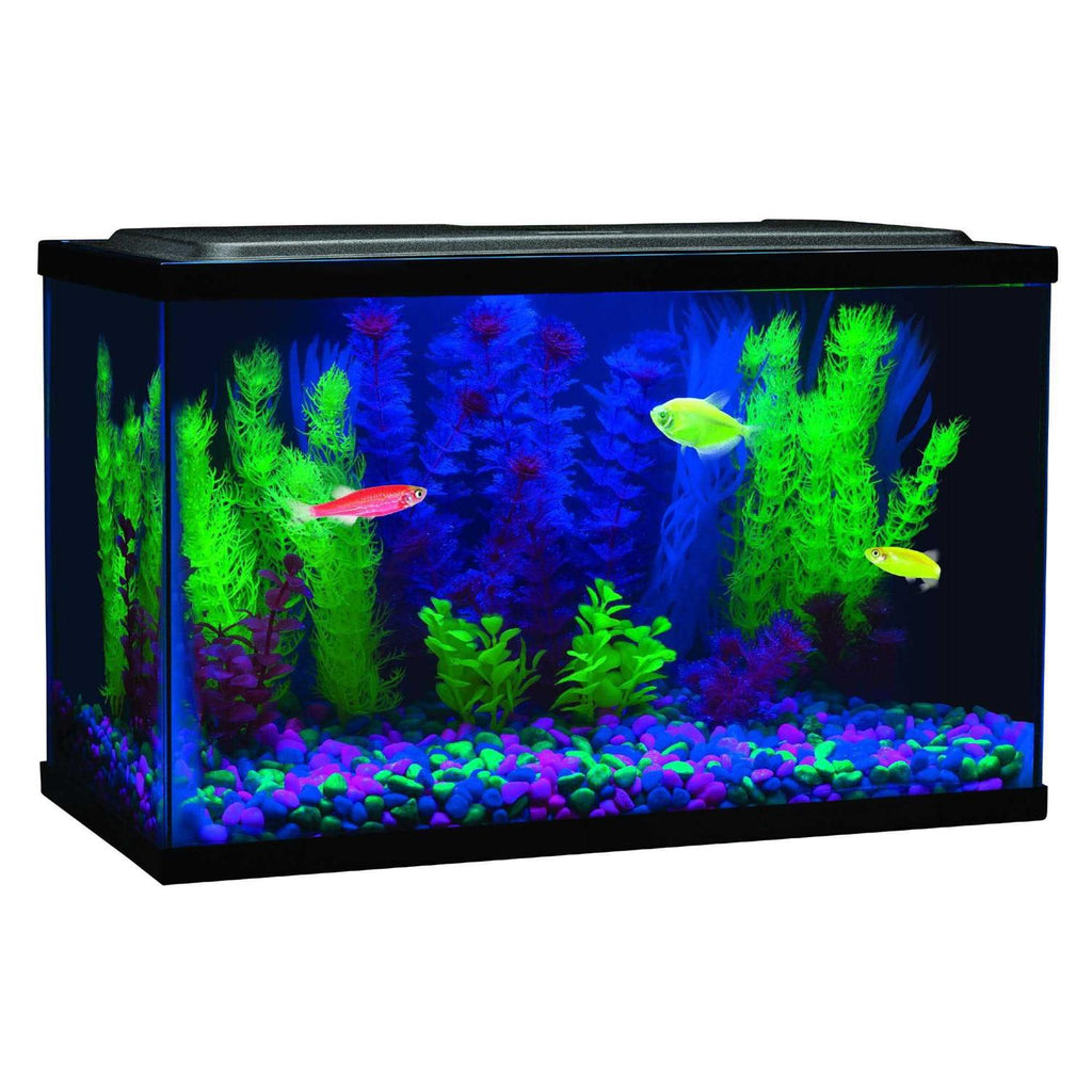 Blue LED Light C441785