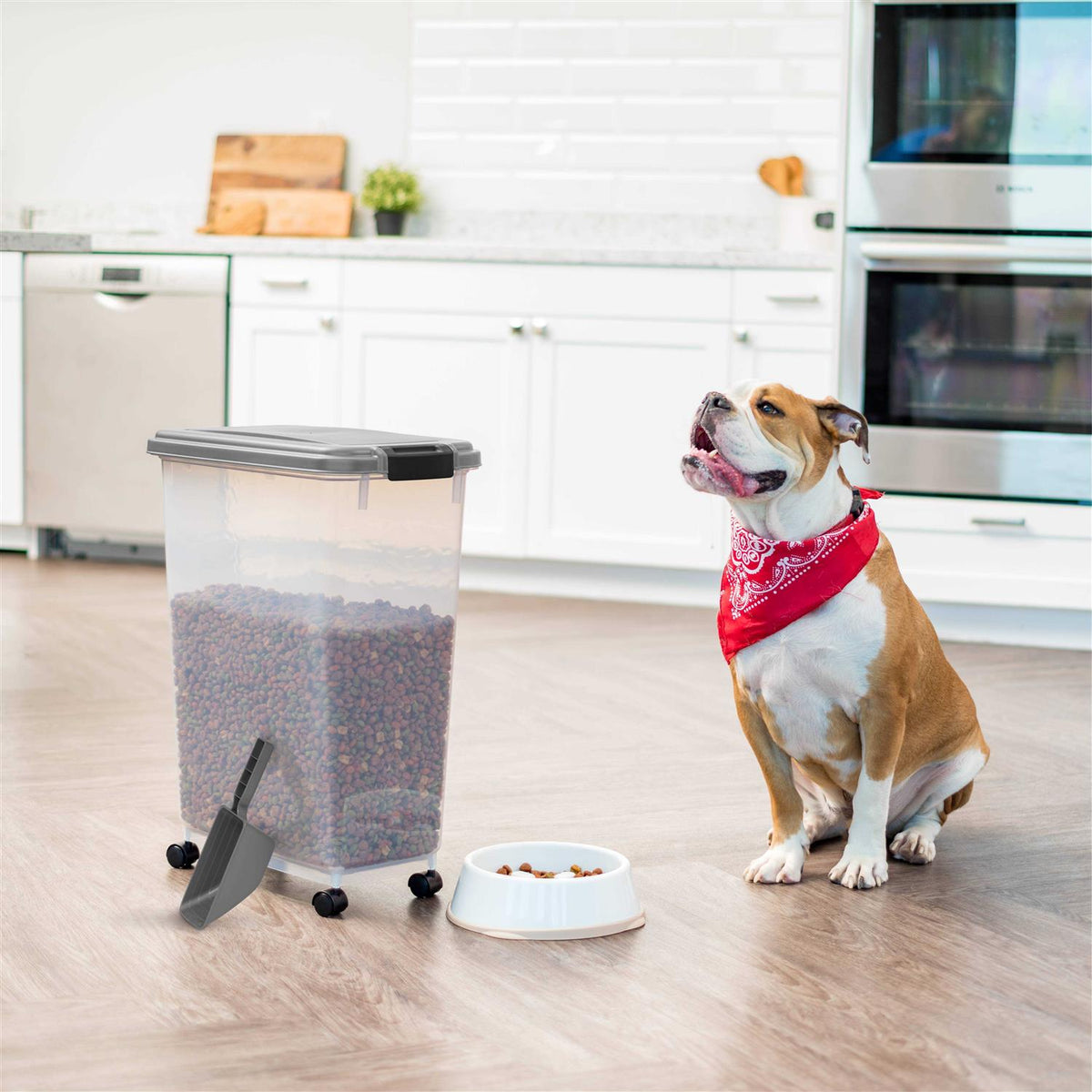 Airtight Pet Food Container C247