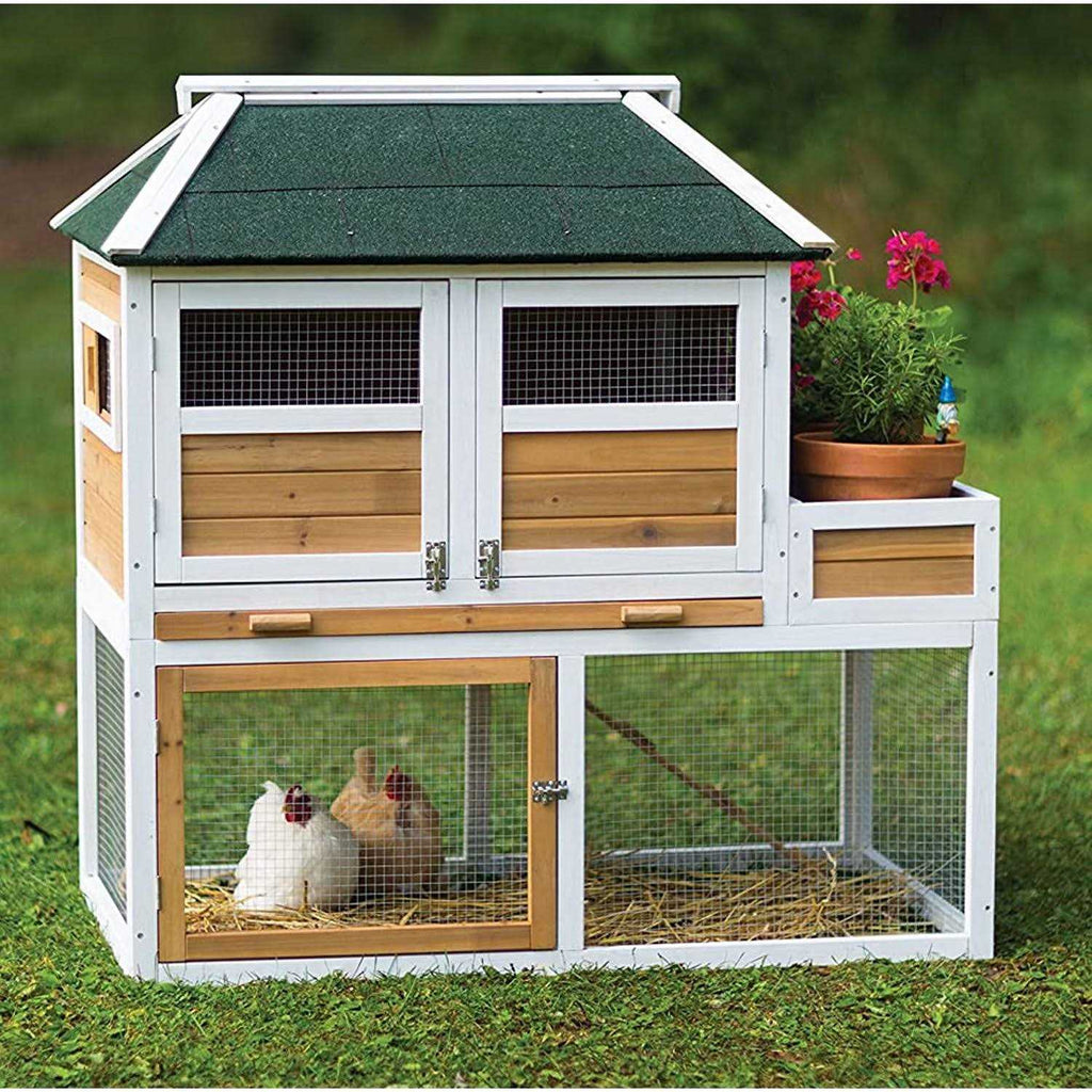 Chicken Coop with Herb Planter K676679
